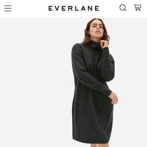 Everlane Black Donegal Cashmere Turtleneck Sweater Dress